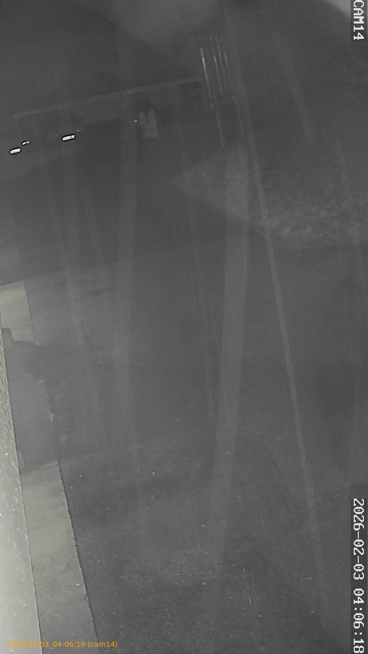 thumbnail_20260203040619