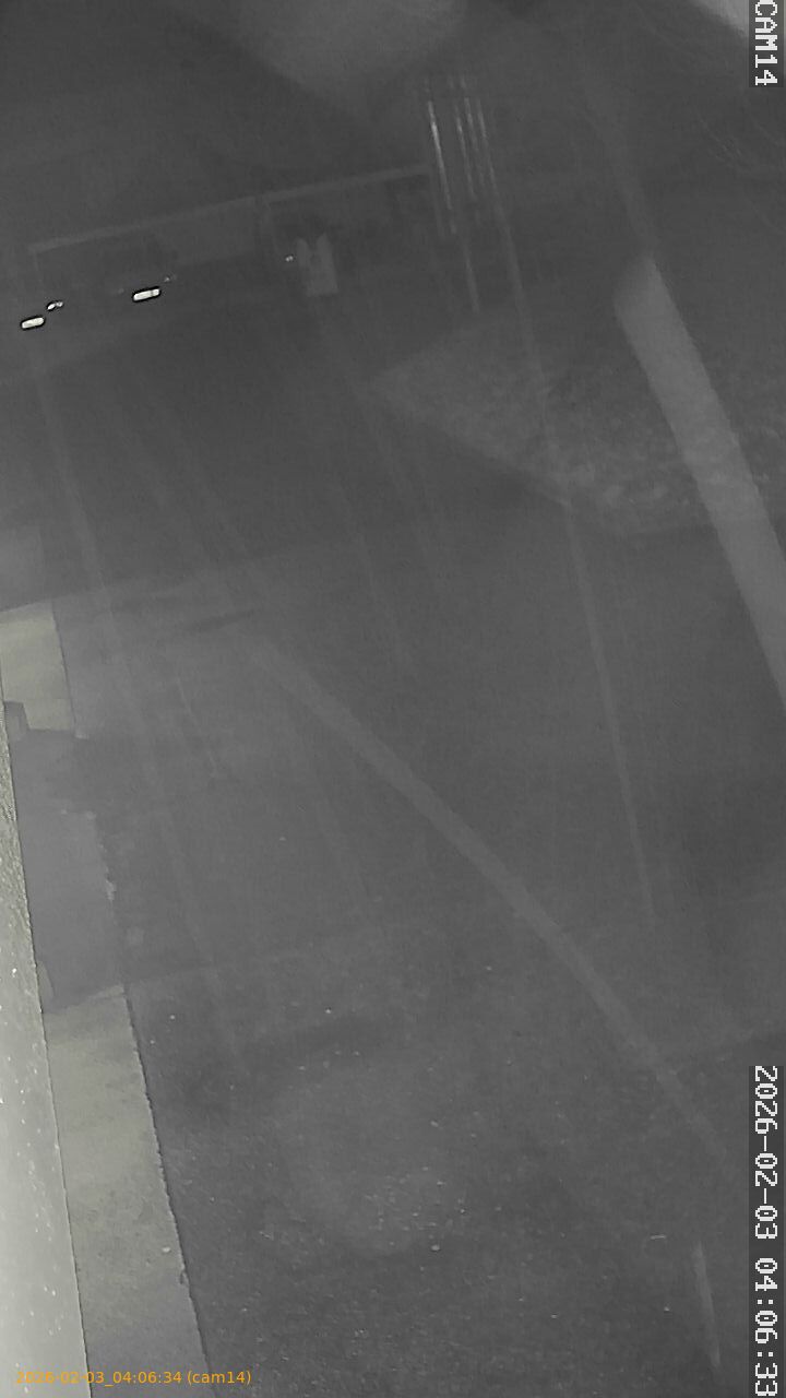 thumbnail_20260203040634