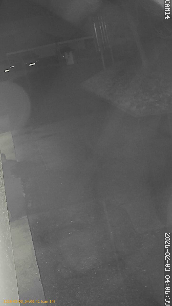 thumbnail_20260203040640