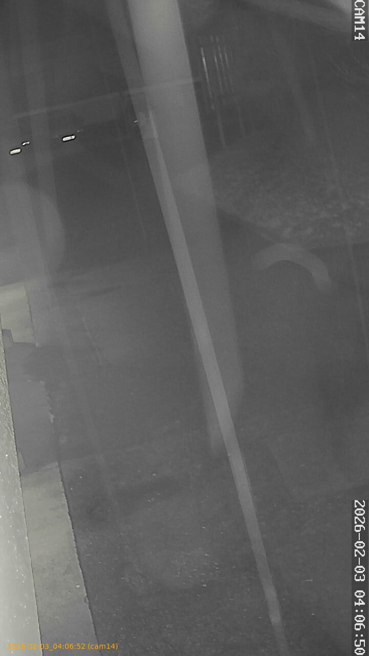 thumbnail_20260203040652