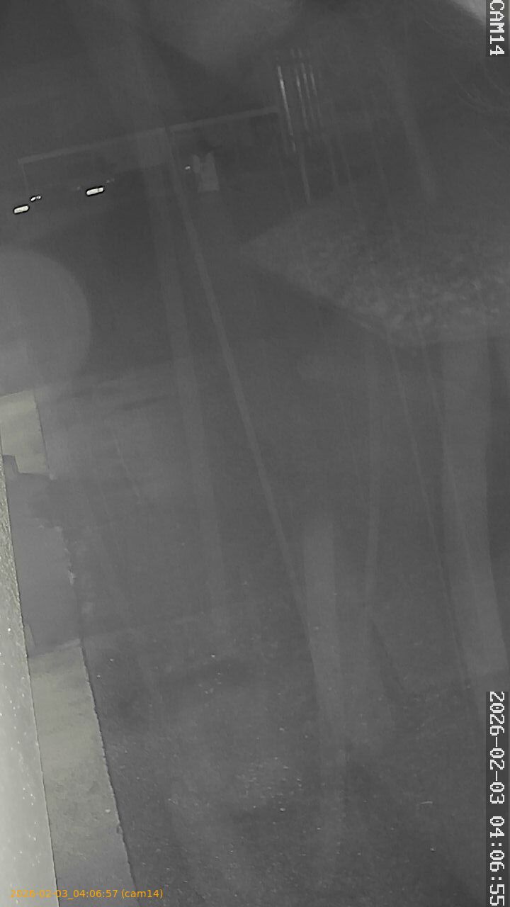 thumbnail_20260203040657