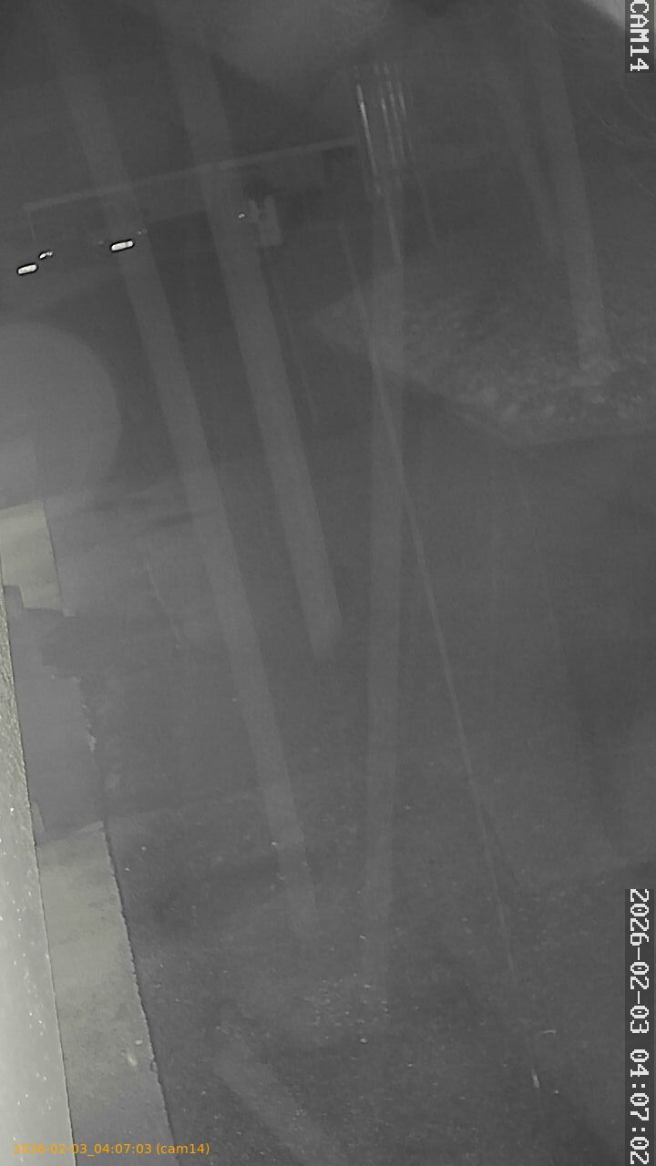 thumbnail_20260203040703