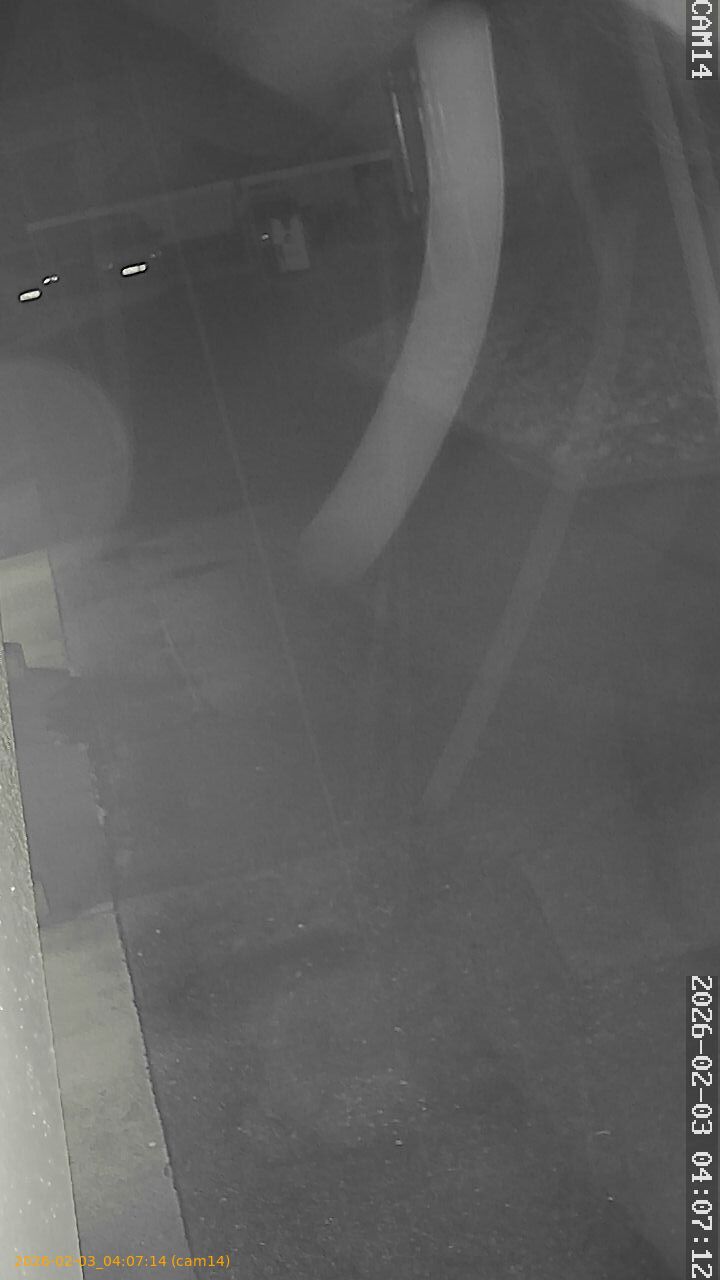 thumbnail_20260203040714