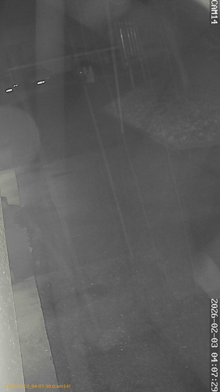 thumbnail_20260203040730