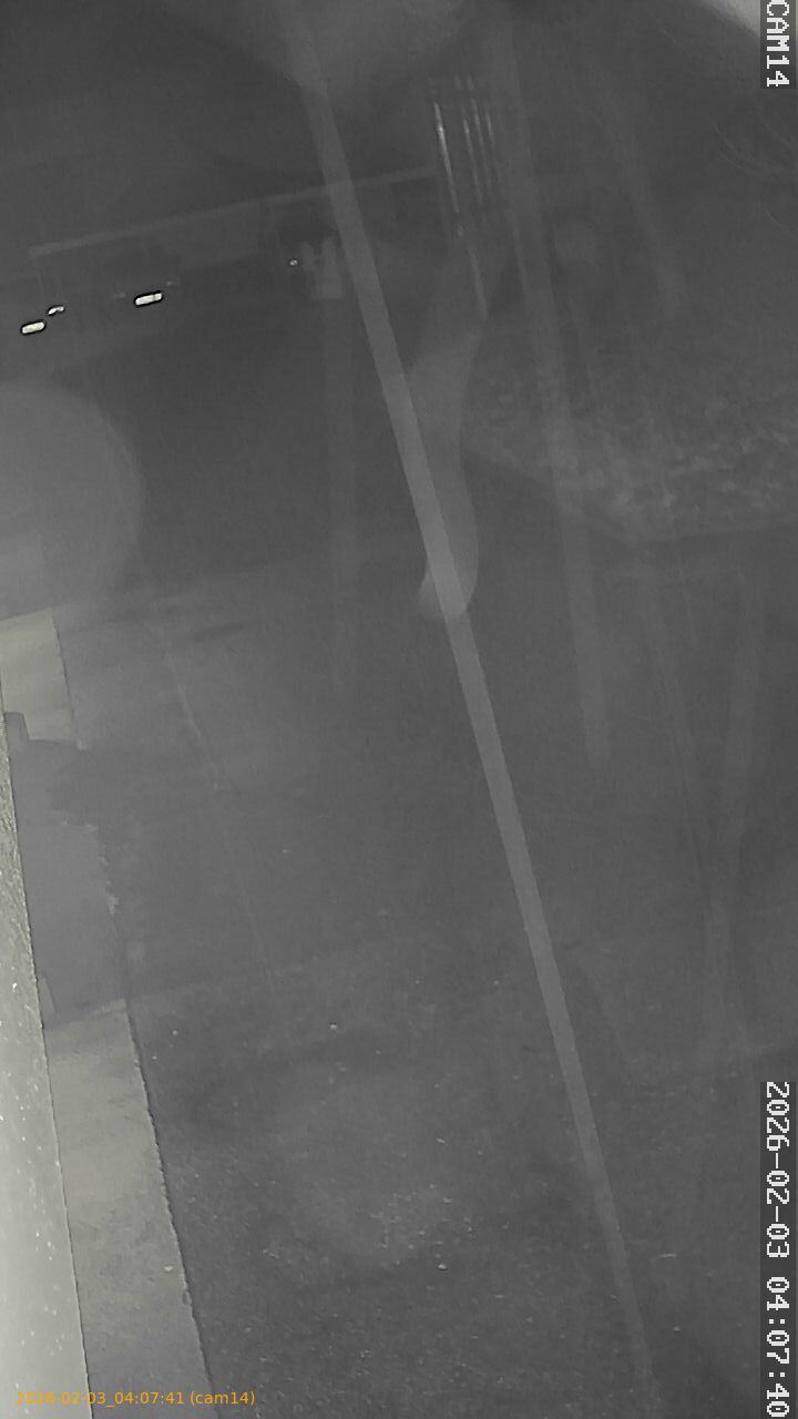 thumbnail_20260203040741