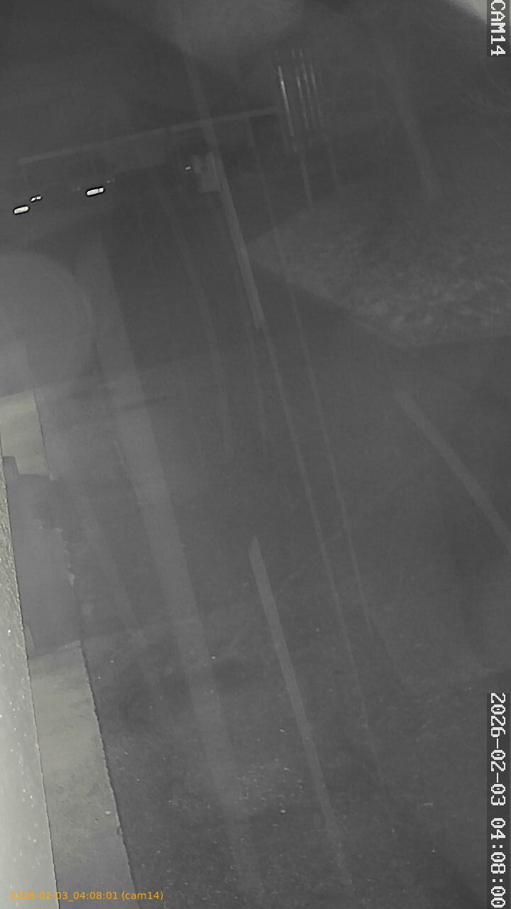 thumbnail_20260203040801