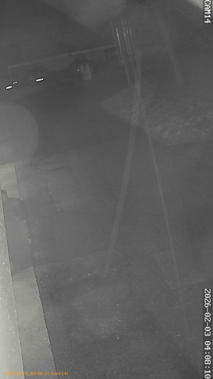 thumbnail_20260203040811