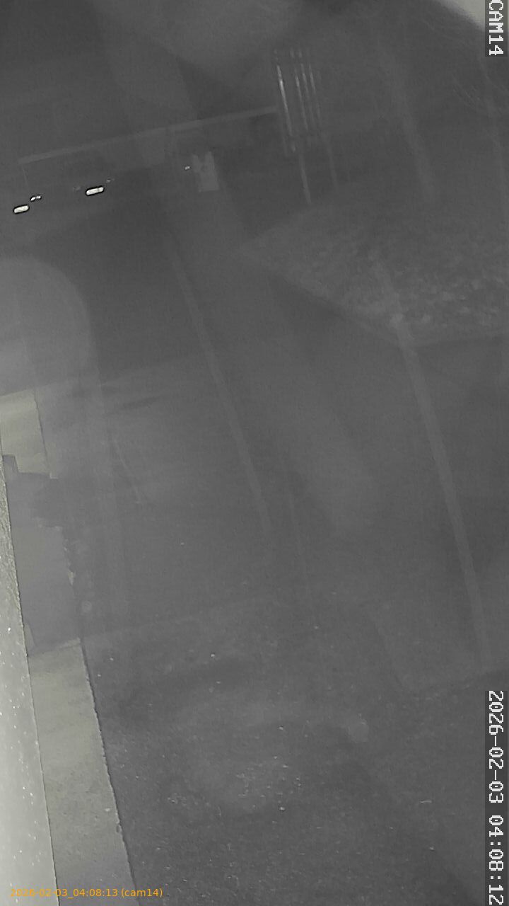 thumbnail_20260203040813