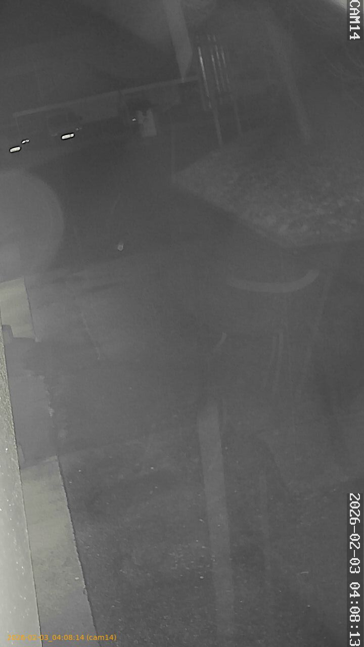 thumbnail_20260203040814