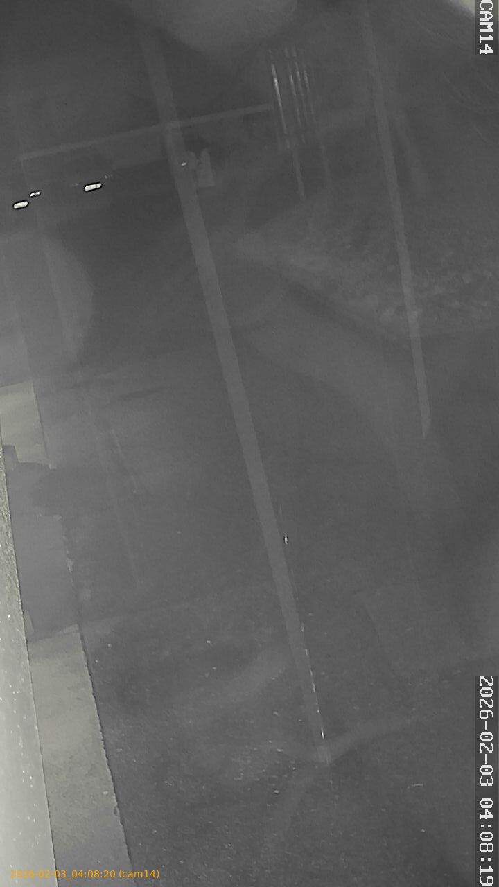 thumbnail_20260203040820