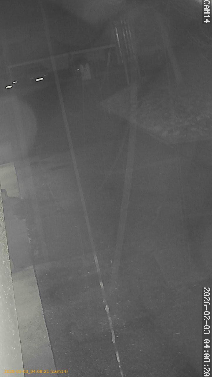 thumbnail_20260203040821