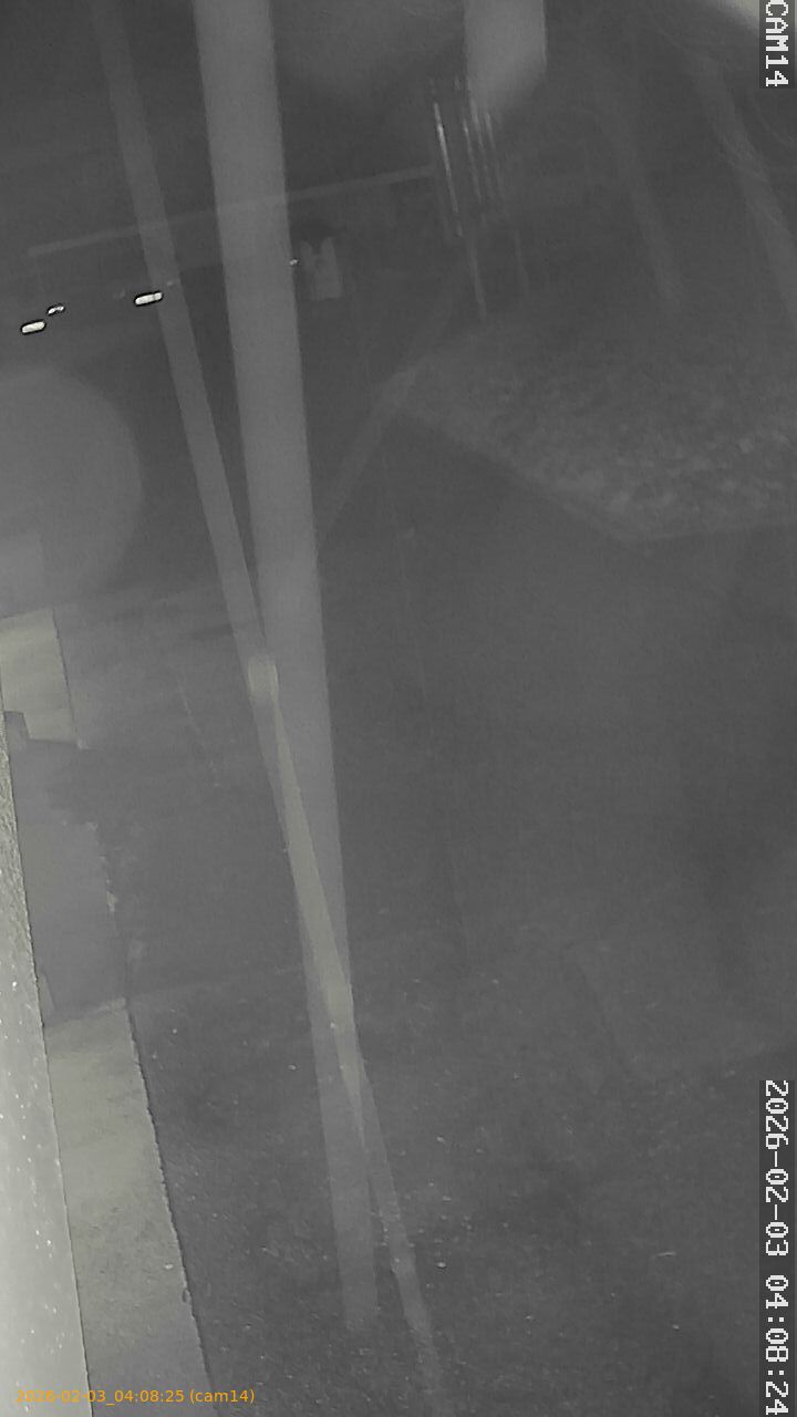 thumbnail_20260203040825