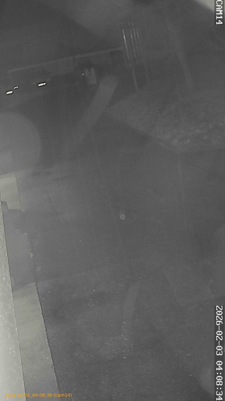 thumbnail_20260203040836