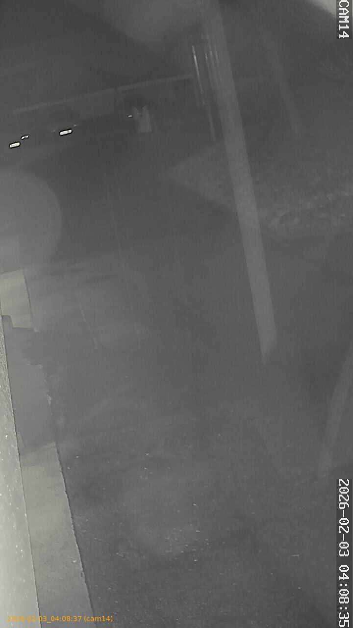 thumbnail_20260203040837