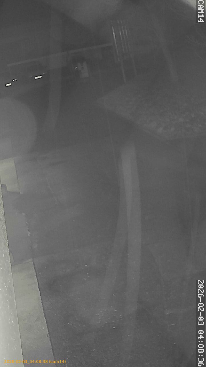 thumbnail_20260203040838