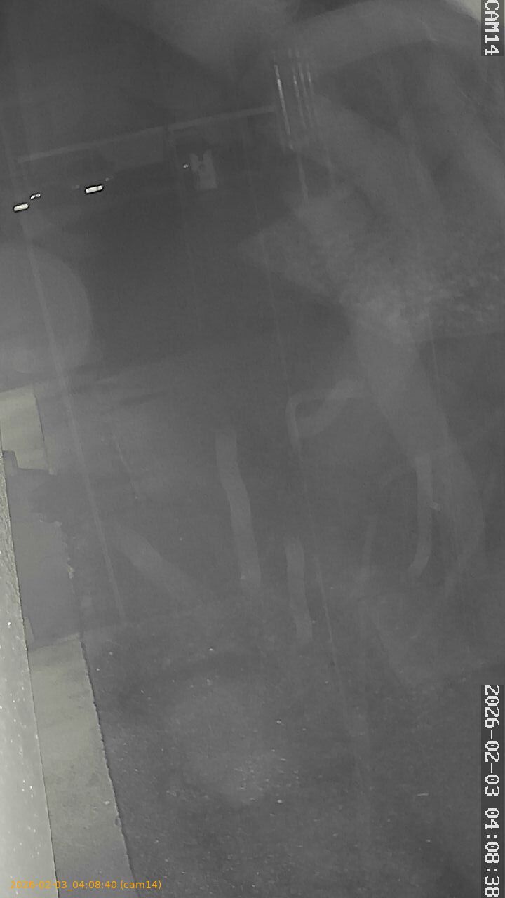 thumbnail_20260203040840