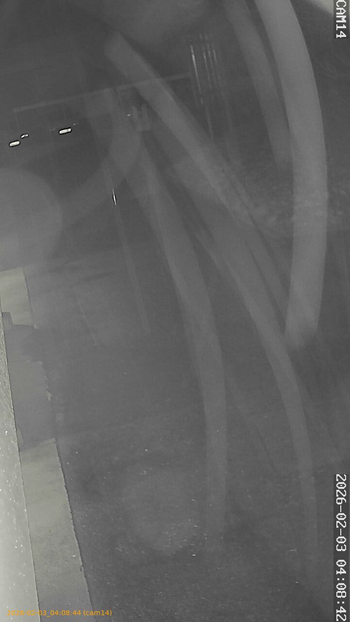 thumbnail_20260203040844