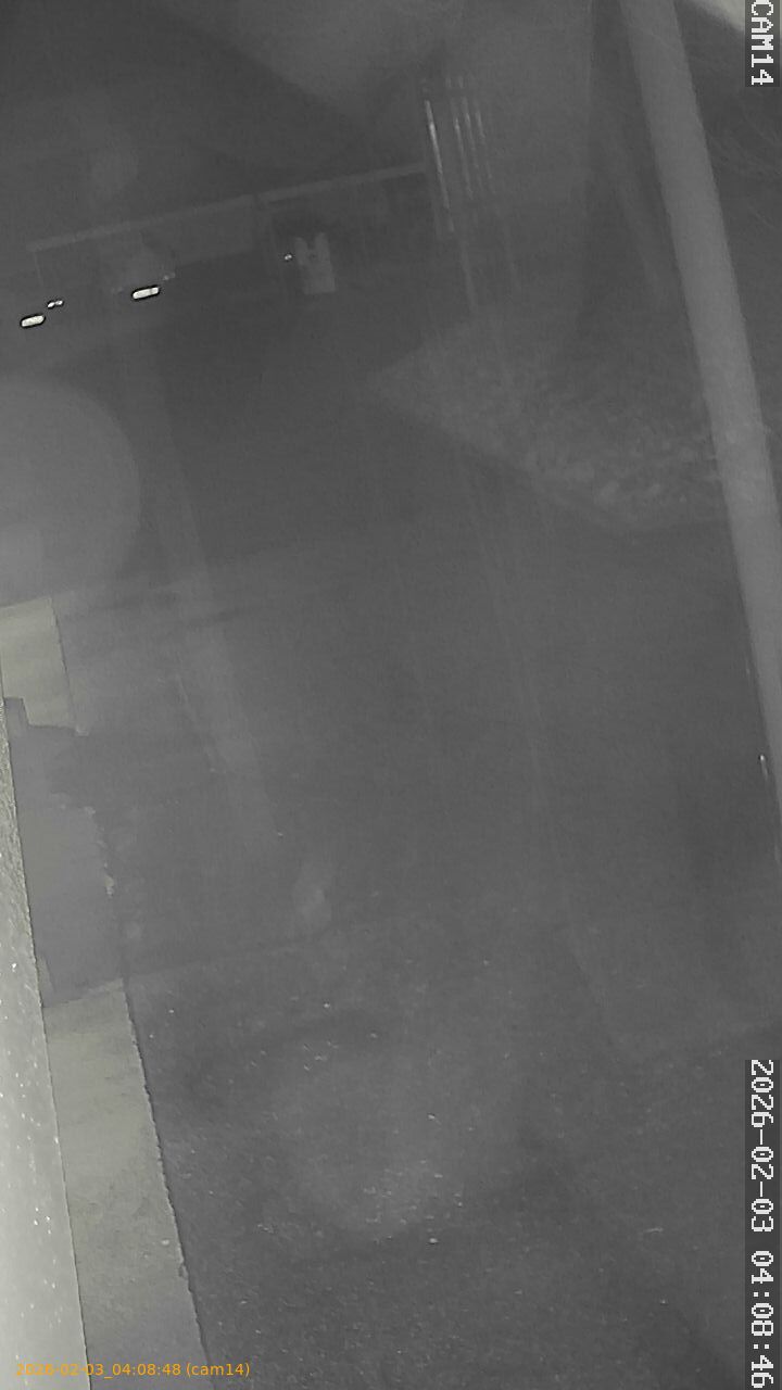 thumbnail_20260203040848