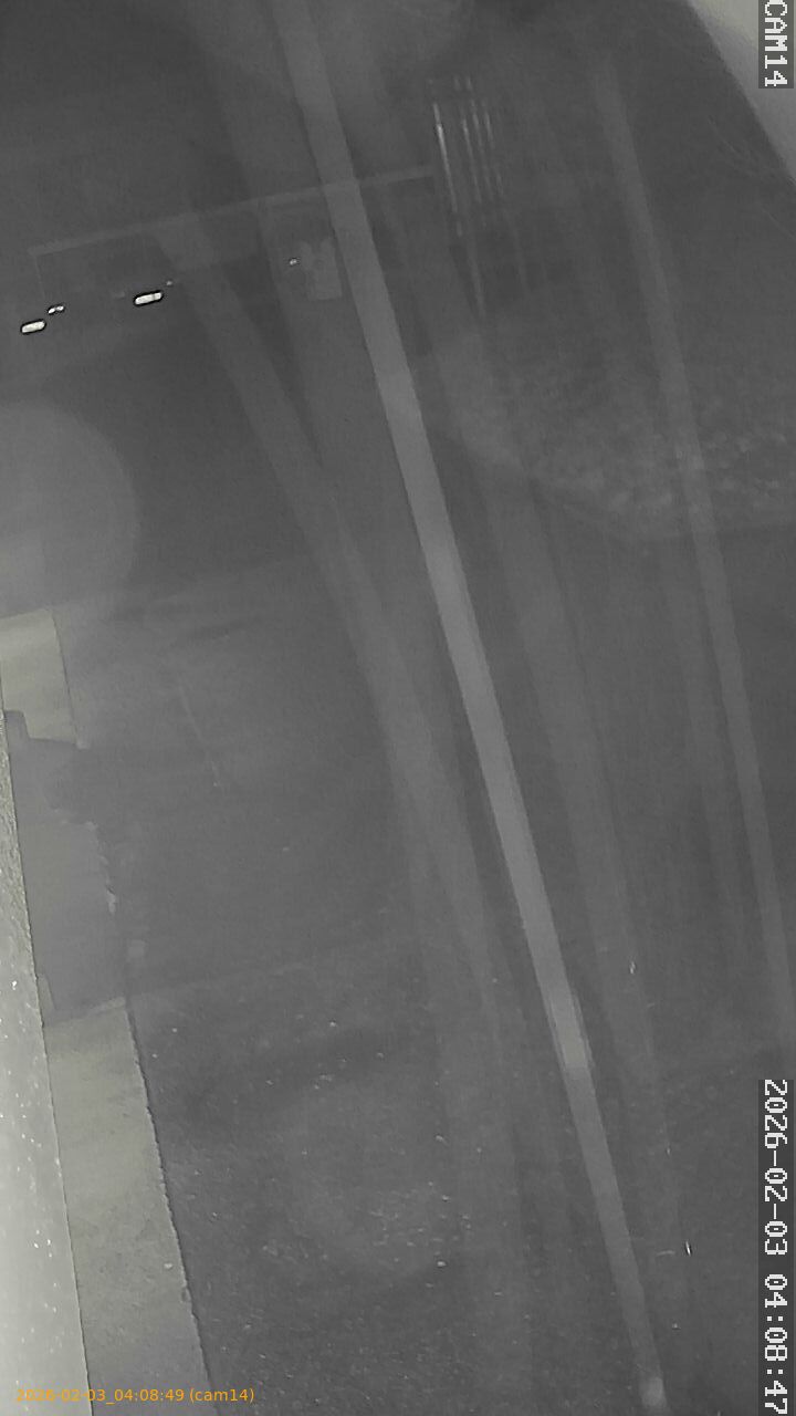 thumbnail_20260203040849