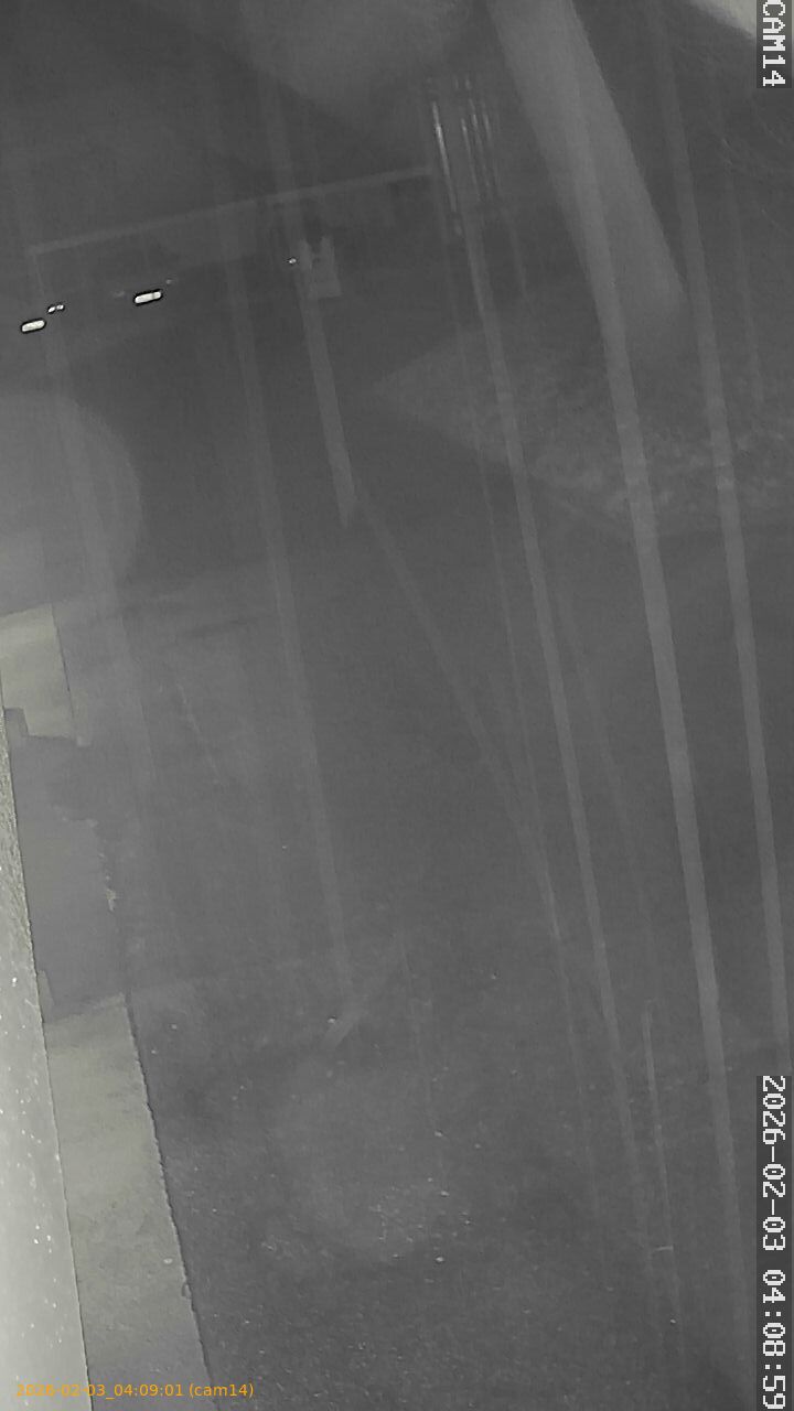 thumbnail_20260203040901