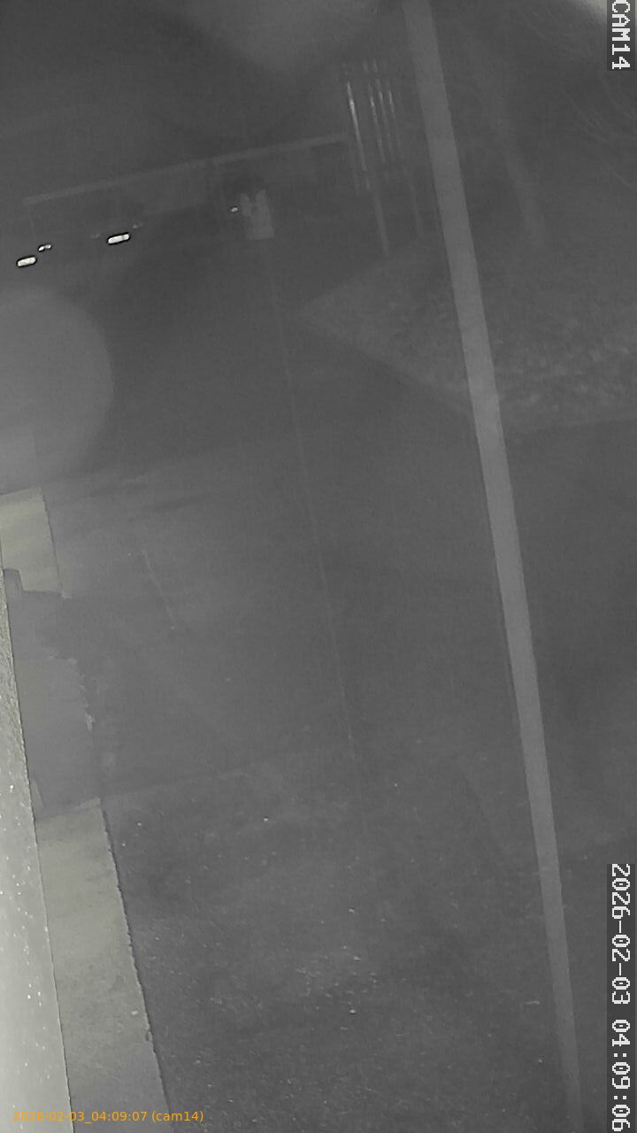 thumbnail_20260203040907