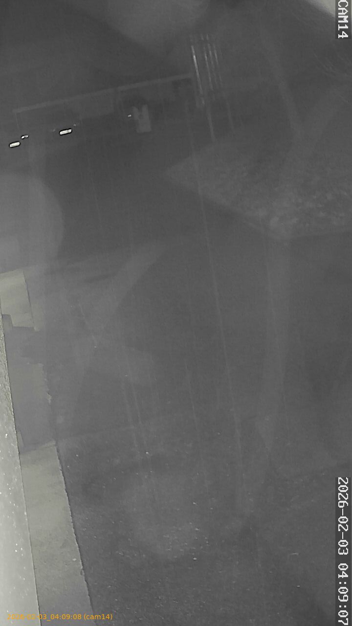 thumbnail_20260203040908