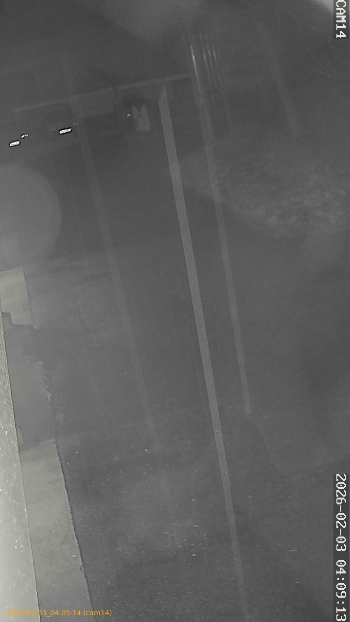 thumbnail_20260203040914