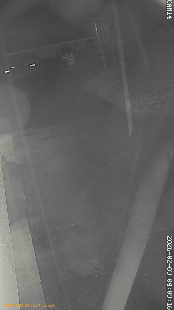 thumbnail_20260203040917