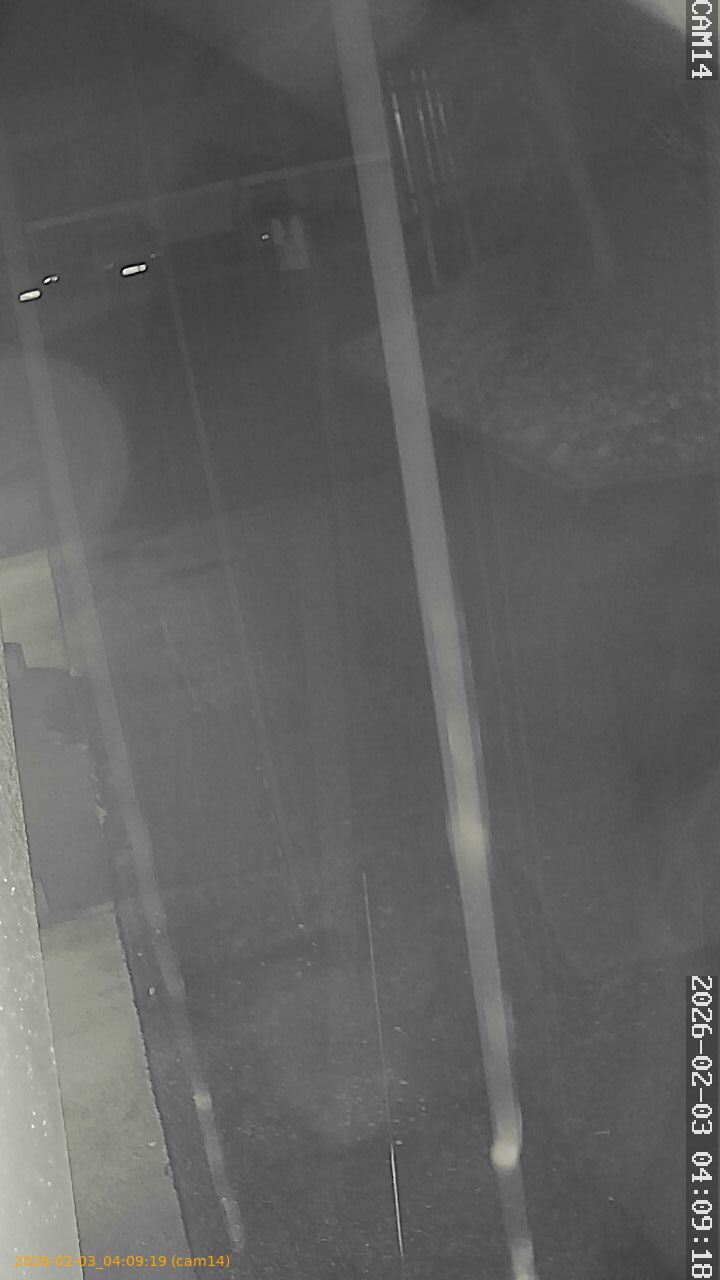 thumbnail_20260203040919