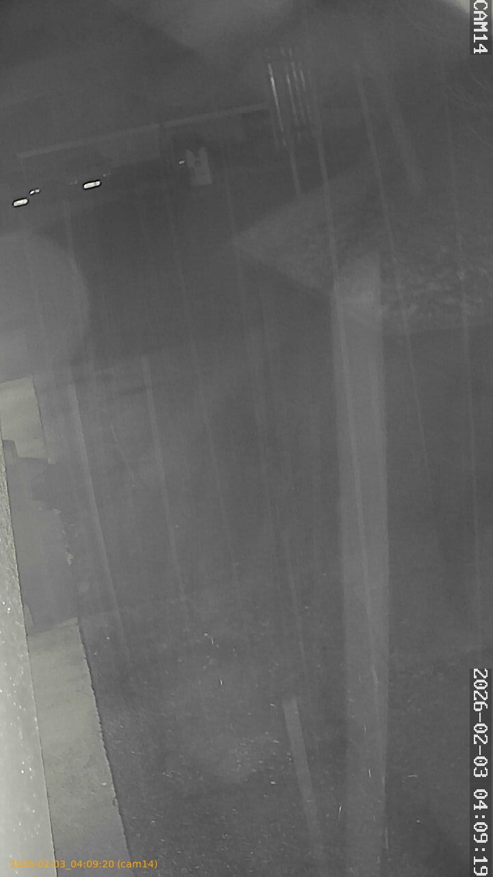 thumbnail_20260203040920