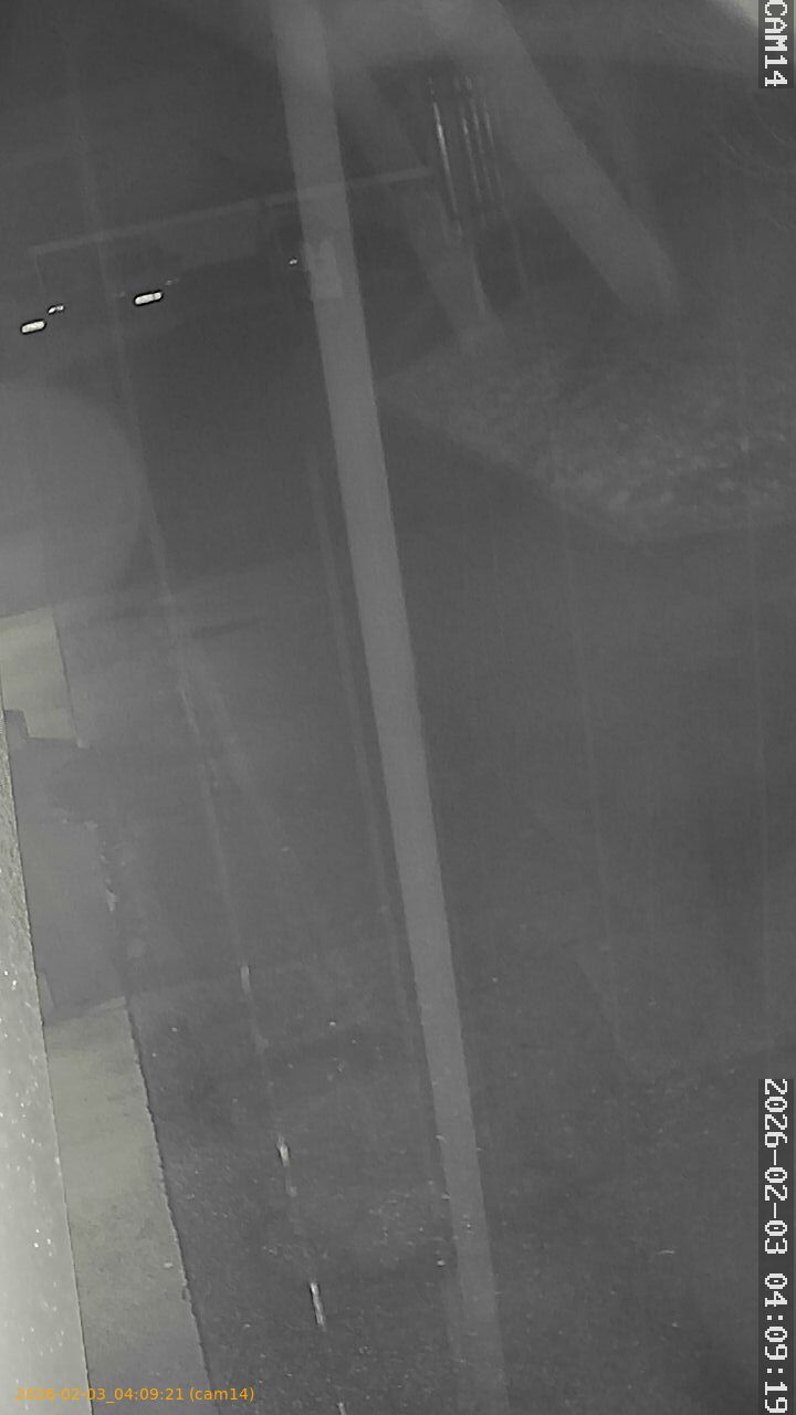 thumbnail_20260203040921