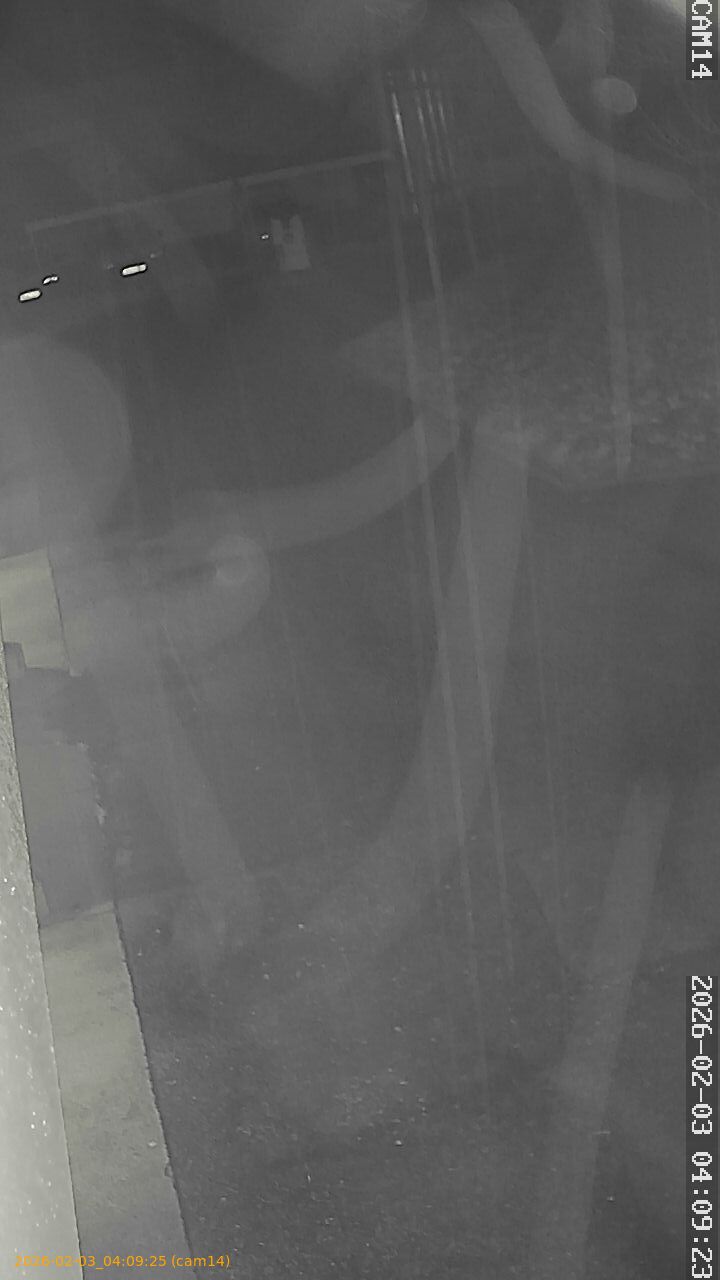 thumbnail_20260203040925