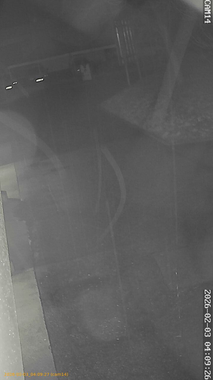 thumbnail_20260203040927