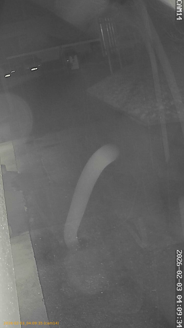 thumbnail_20260203040935