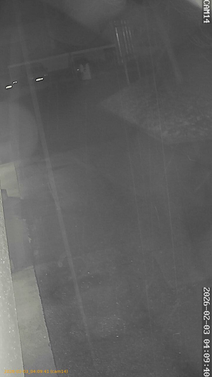 thumbnail_20260203040941