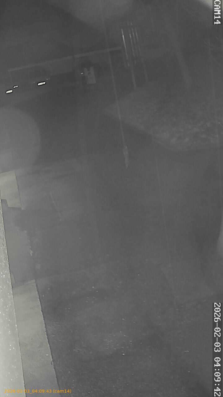 thumbnail_20260203040943