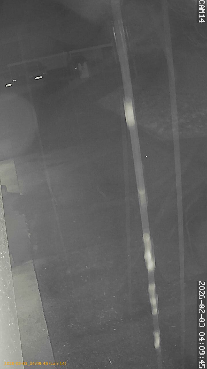 thumbnail_20260203040946