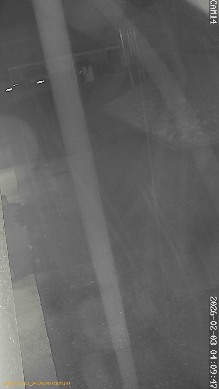 thumbnail_20260203040948