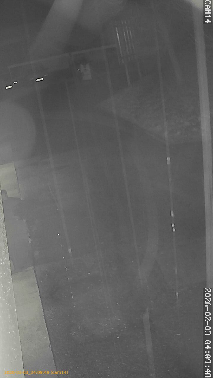 thumbnail_20260203040949