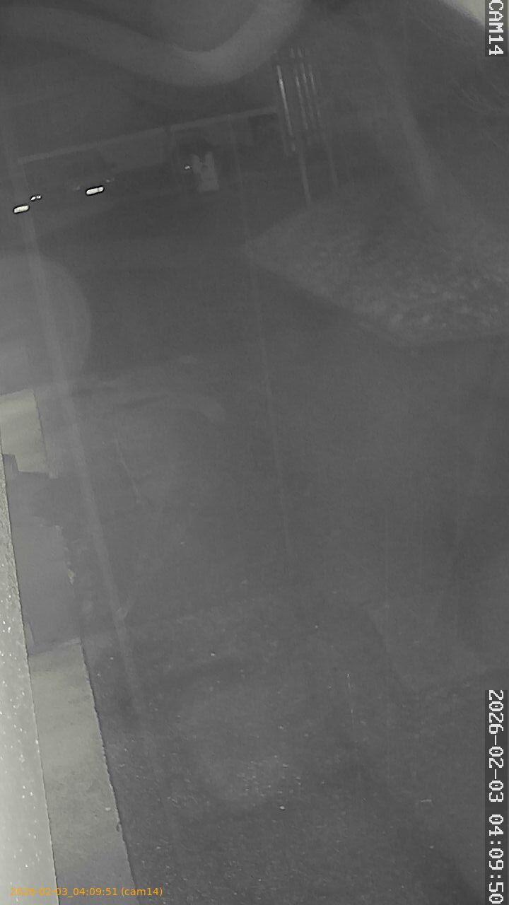 thumbnail_20260203040951