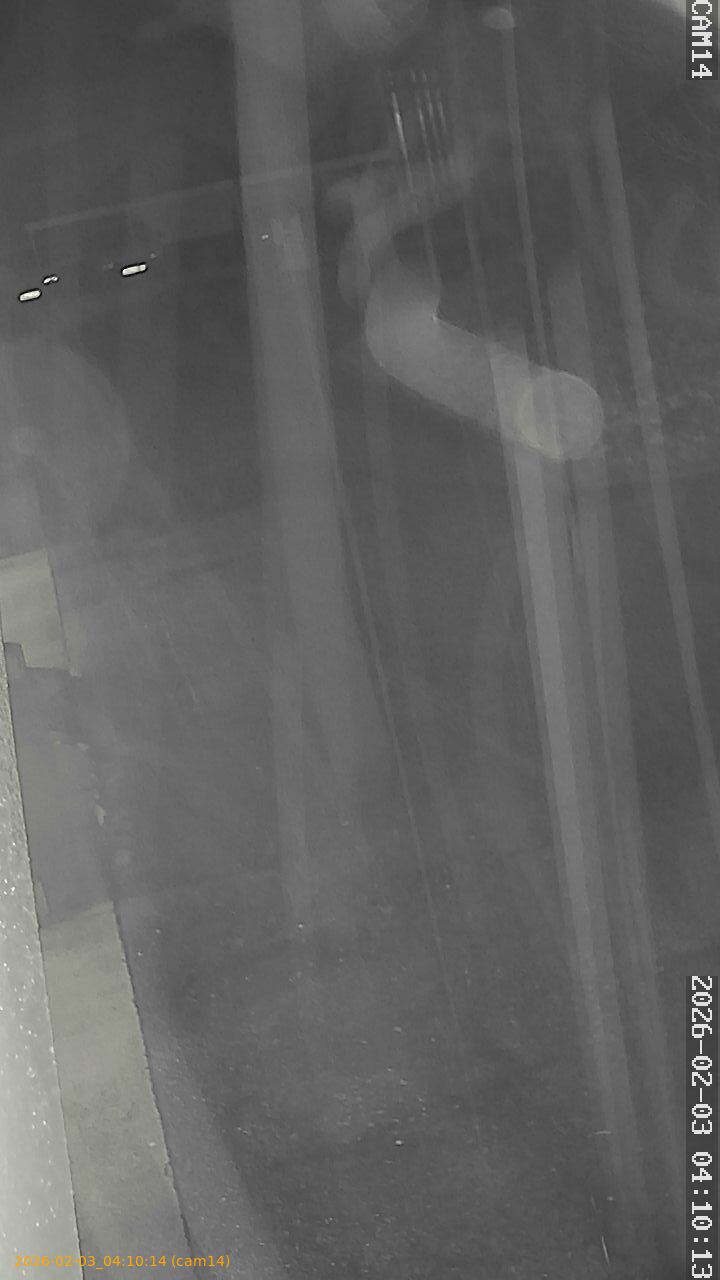 thumbnail_20260203041014