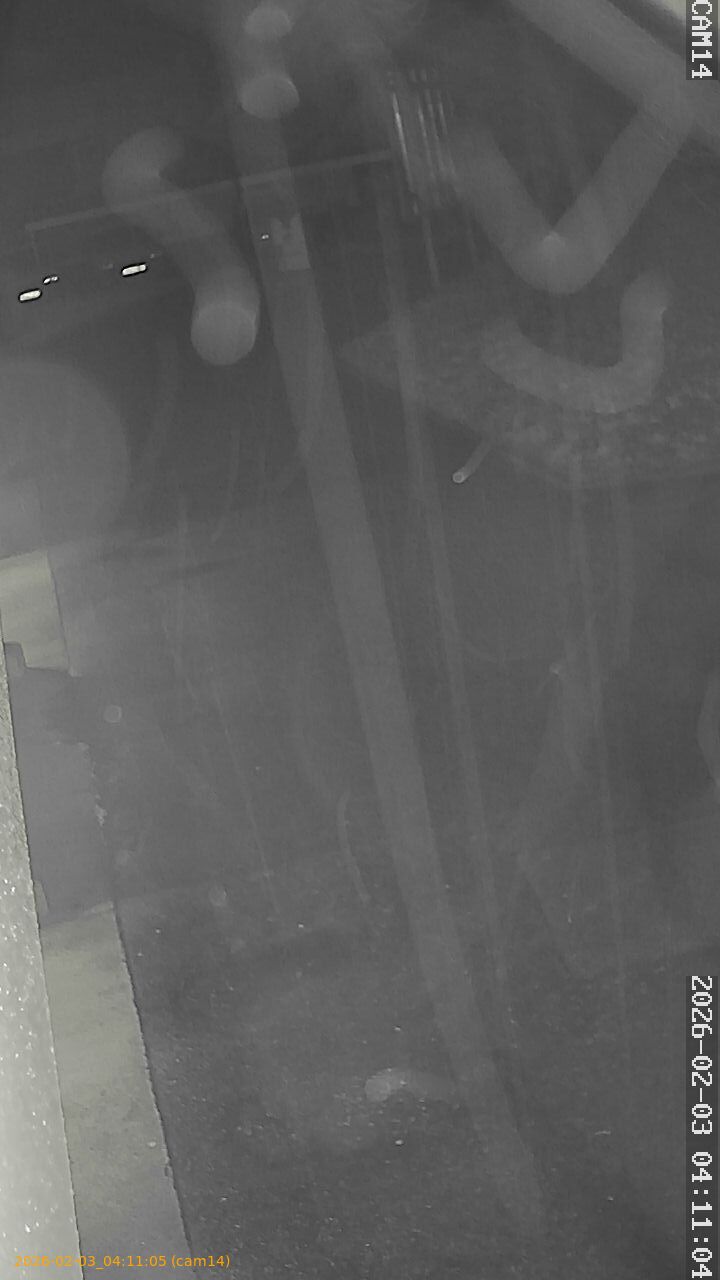 thumbnail_20260203041105