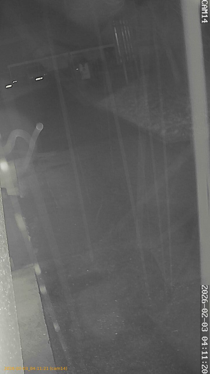 thumbnail_20260203041121