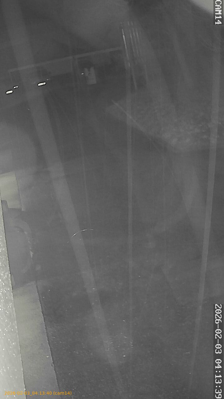 thumbnail_20260203041340