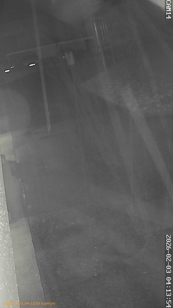 thumbnail_20260203041355