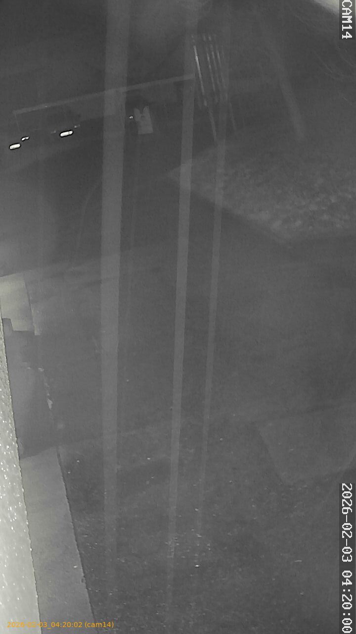 thumbnail_20260203042002