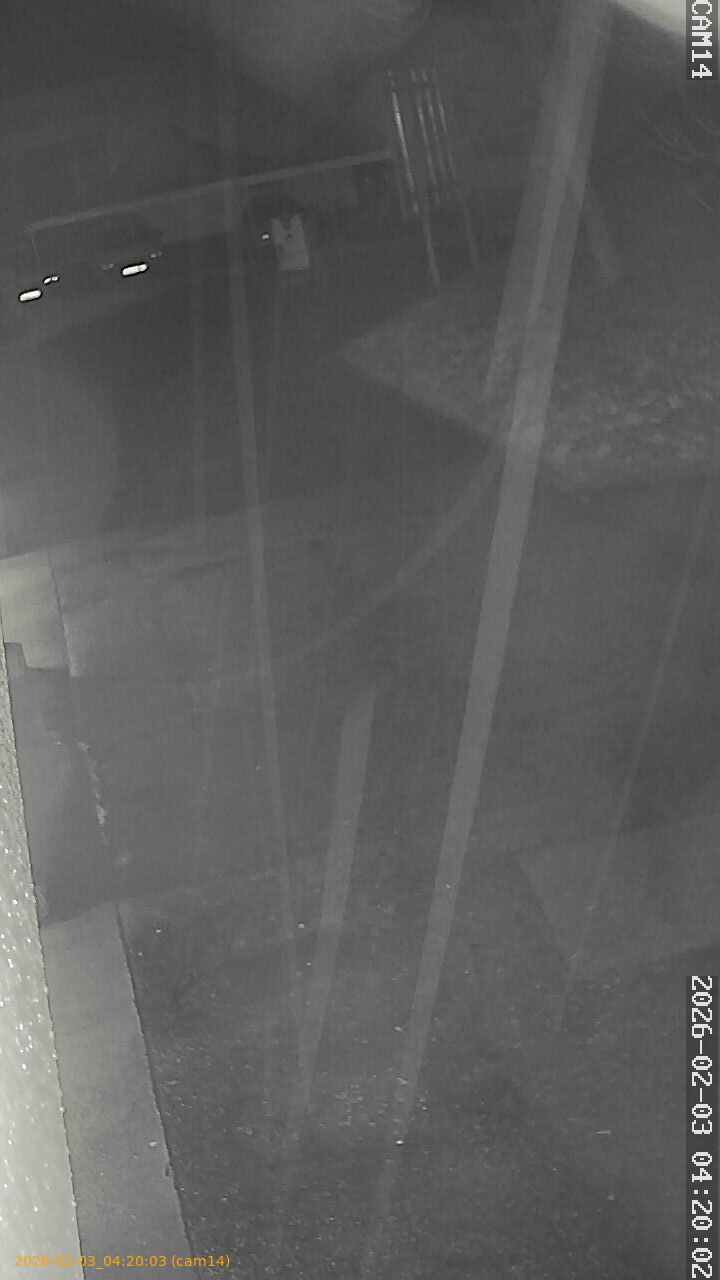 thumbnail_20260203042003