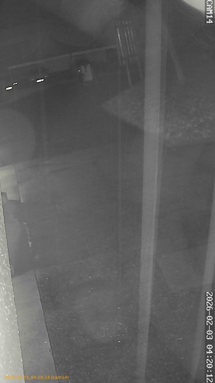 thumbnail_20260203042014