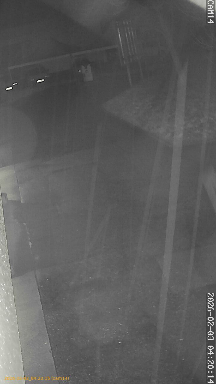 thumbnail_20260203042015