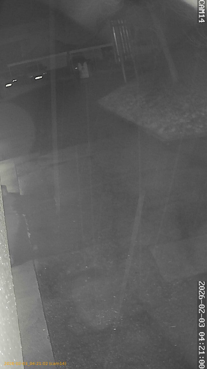 thumbnail_20260203042102